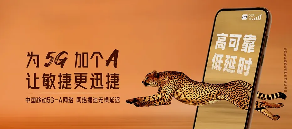 邳州市邳州市八路镇 移动宽带