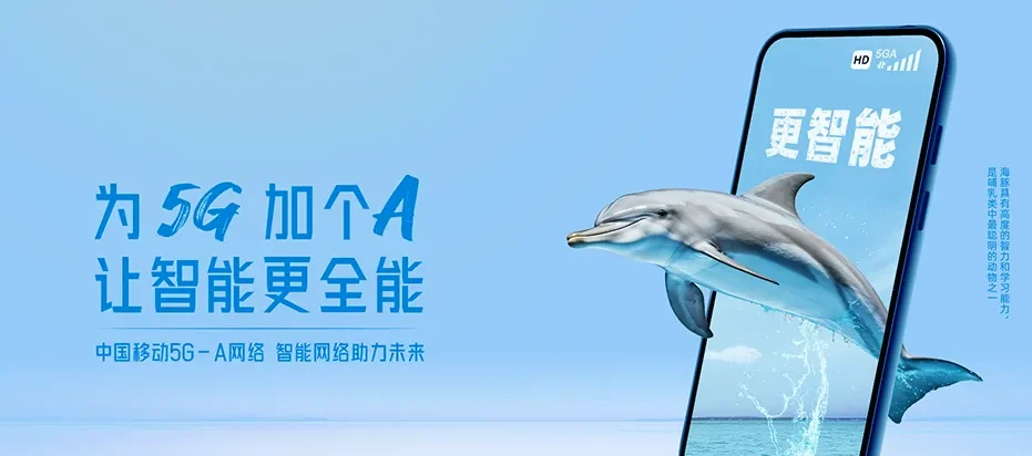 邳州市邳州市邹庄镇 移动宽带